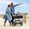 Omni Plus Modular Travel System with LiteMax Sport Rear-Facing Infant Car Seat, Mylar Gray - mylargray